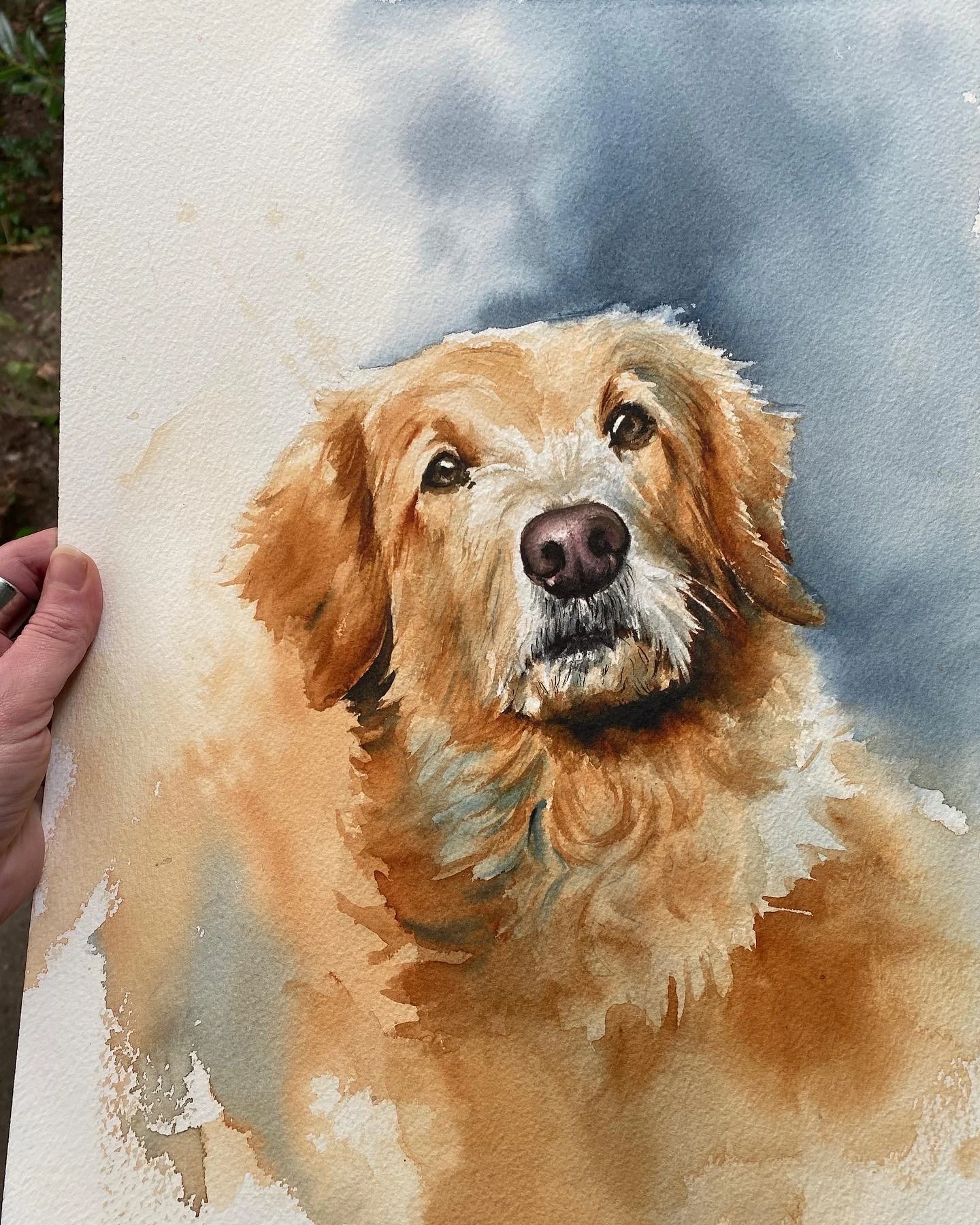 Tierportrait nach Fotovorlage