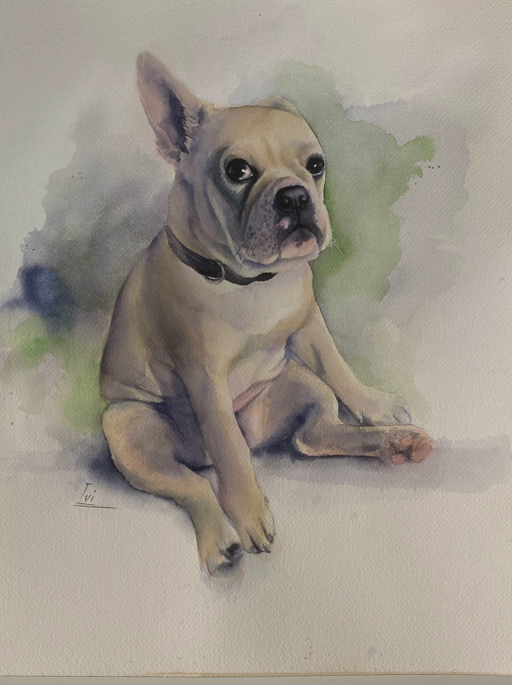 Hund gemalt nach Foto Vorlage