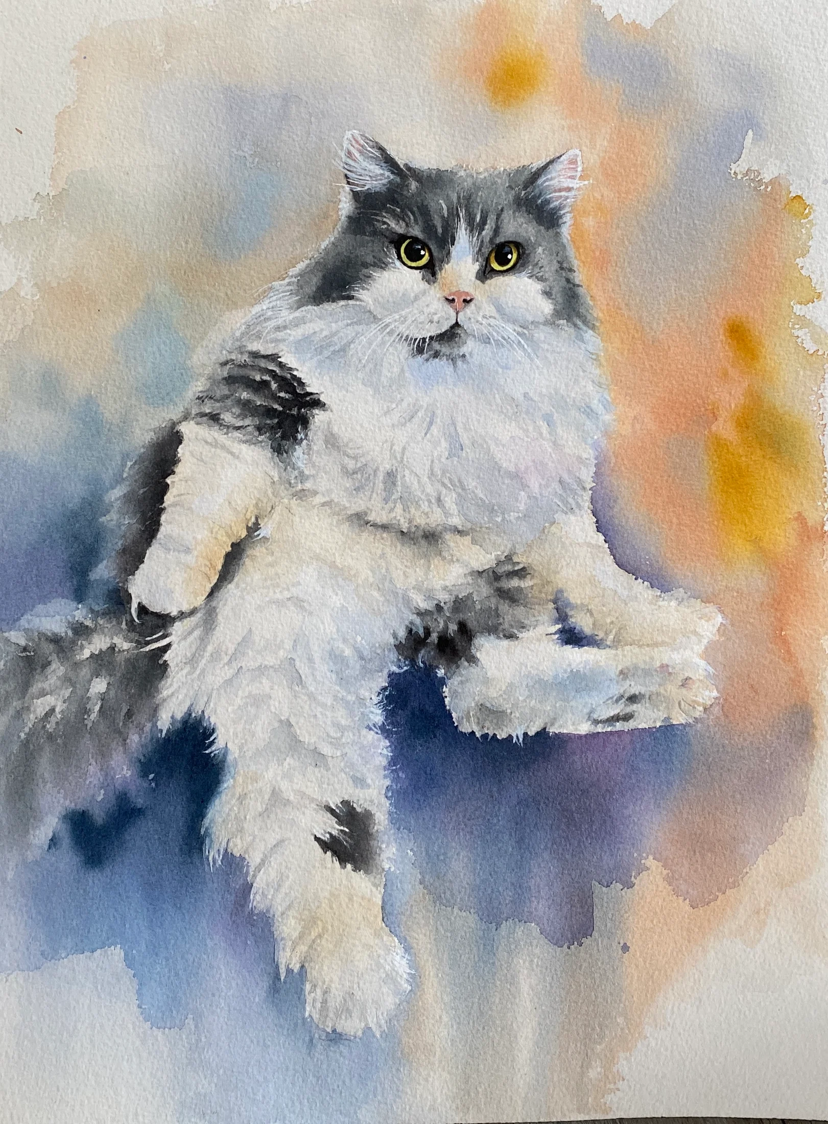 Katze gemalt nach Foto Vorlage