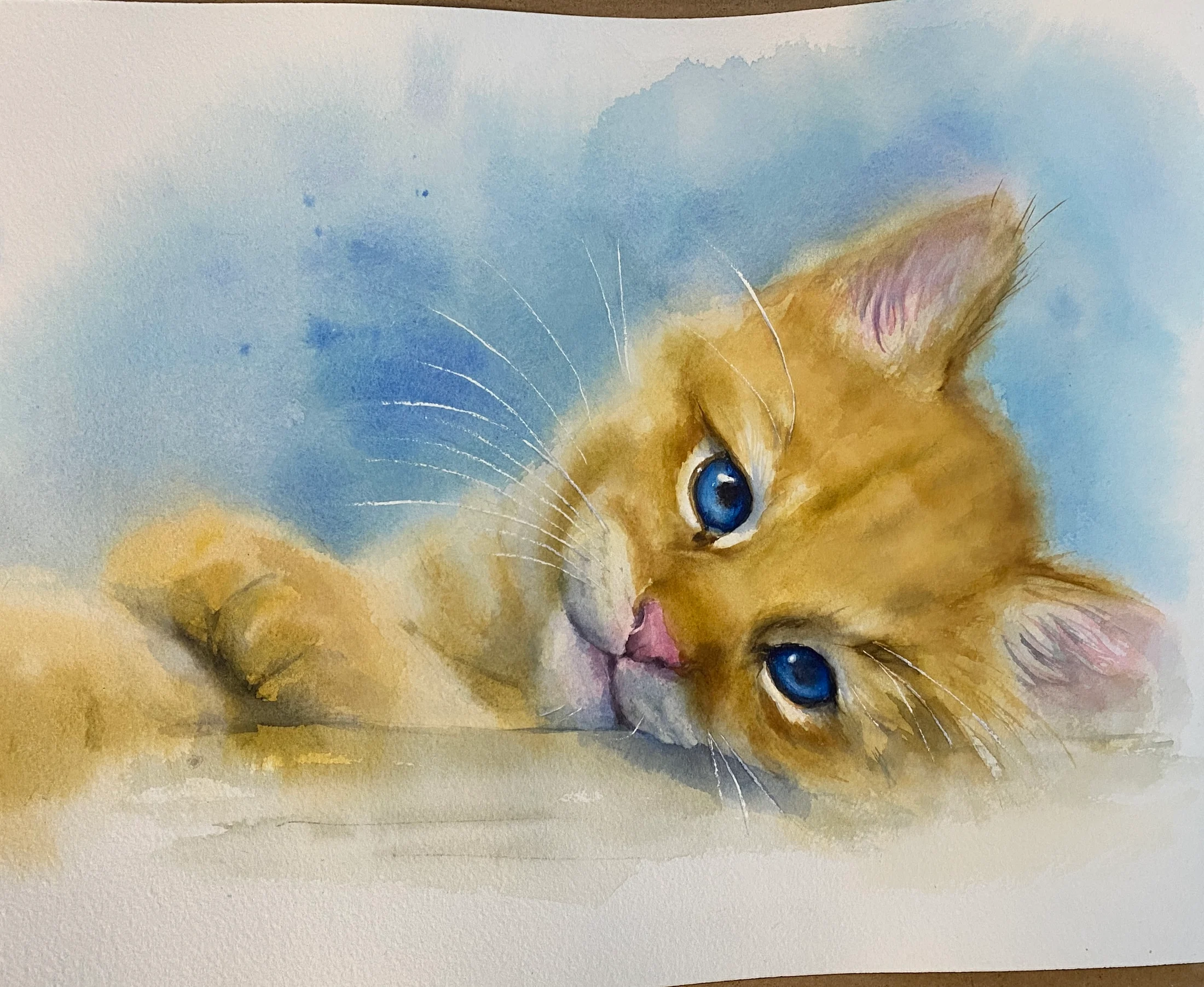 Katze Porträt nach Foto