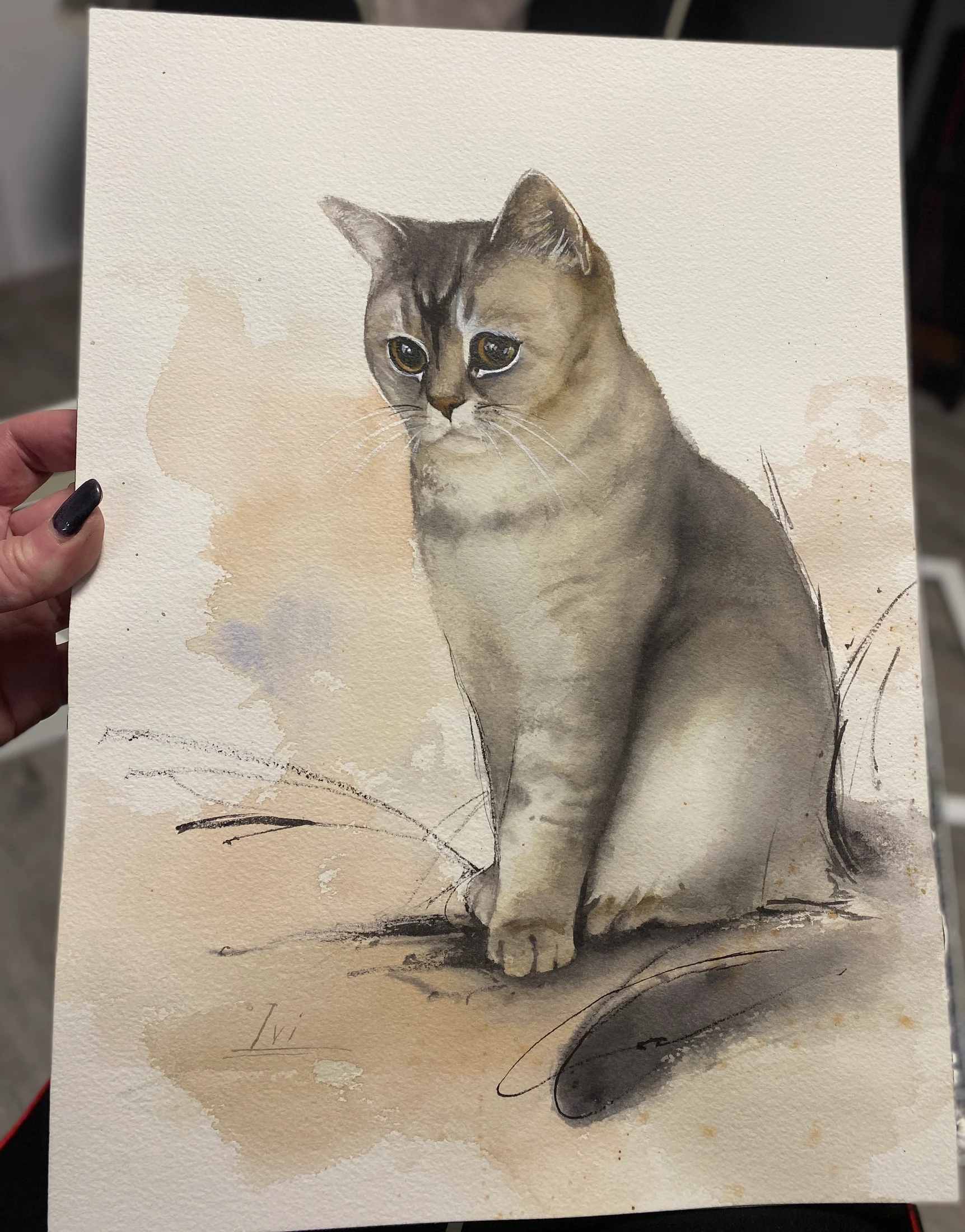Katze Porträt. Beispiel